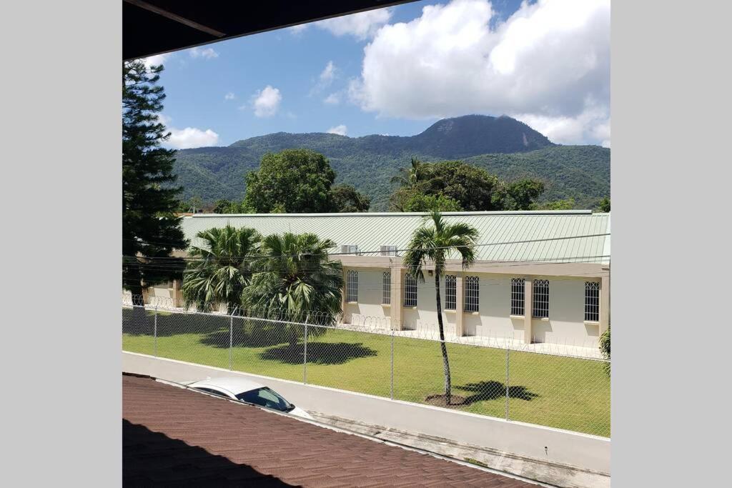 Great Location, Right Downtown Puerto Plata . Daire Dış mekan fotoğraf